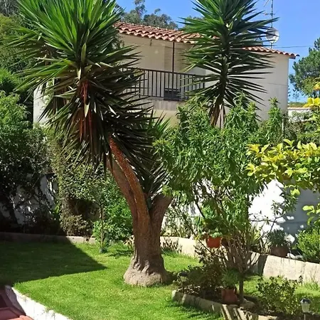 Charming House In O Rosal With Garden And
